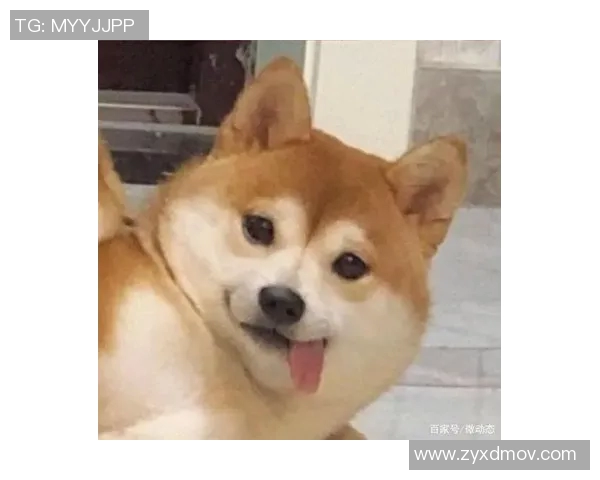 搞怪足球明星微信头像大赏让你的社交圈充满欢乐与创意